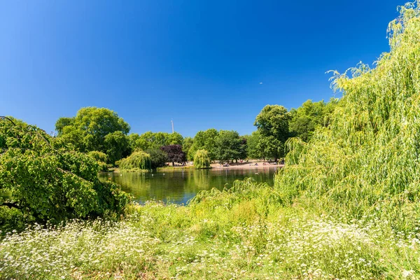 Parco Vegetazione Londra Regno Unito — Foto Stock