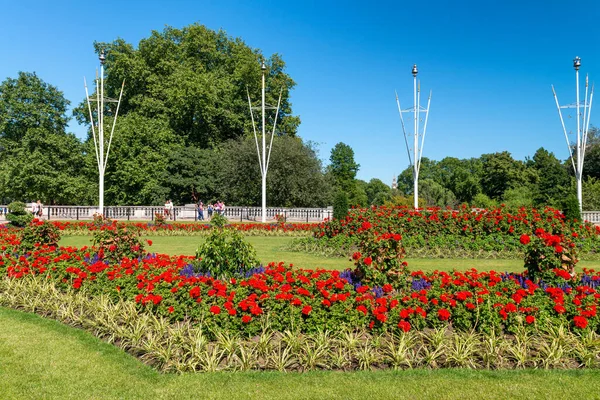 Park Roślinność Londynie Wielka Brytania — Zdjęcie stockowe