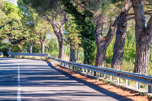 Talya Kıyı Şeridi Boyunca Uzanan Yol Çam Ağaçları — Stok fotoğraf