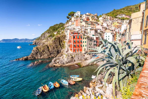 Barcos Casas Riomaggiore Port Five Lands Italia —  Fotos de Stock