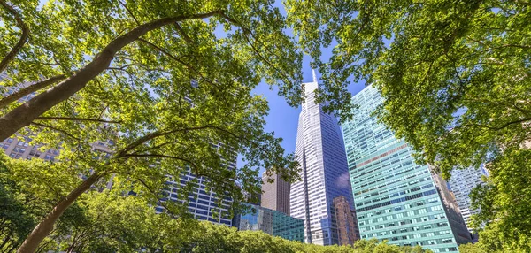 Manhattan Gökdelenleri Bryant Park Ağaçları Tarafından Çerçevelenmiş New York City — Stok fotoğraf