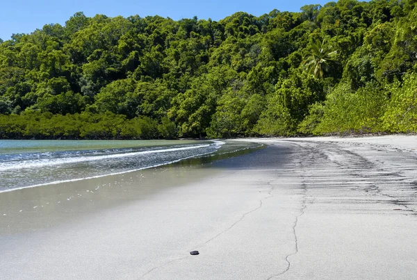 Daintree Ulusal Parkı Nın Güzel Plajı Queensland Avustralya — Stok fotoğraf