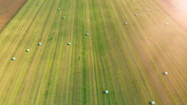 Amazing Aerial View Beautiful Hay Bales Green Meadow — Stock Photo, Image