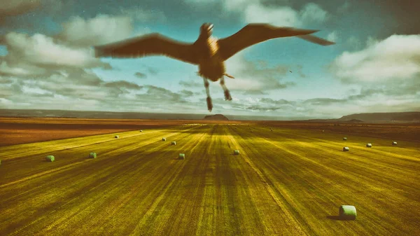 Bird attacking drone in the sky above beautiful meadow.