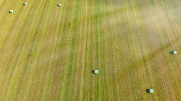 Luftaufnahme Von Heuballen Auf Einer Grünen Wiese — Stockfoto