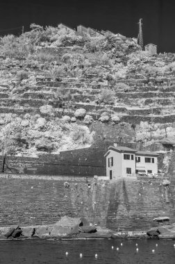 Cinque Terre Kayalıkları ve manzara, kızılötesi görüş.