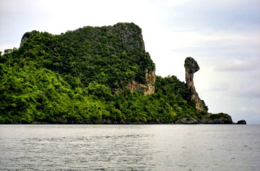 Tayland 'daki ünlü Tavuk Adası profili.