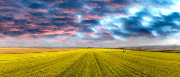 Vista Aérea Incrível Belos Fardos Feno Prado Verde — Fotografia de Stock