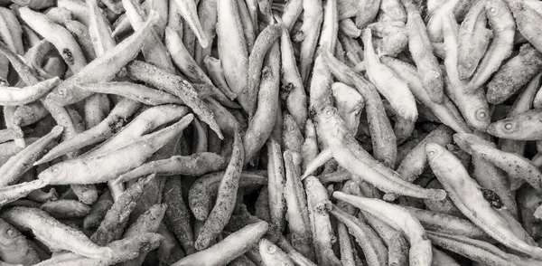 Gefrorene Kleine Sardinen Supermarkt — Stockfoto