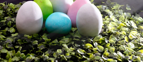 Easter Eggs Composition Close View — Stock Photo, Image