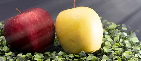 Jabłko Różnych Kolorach Skład Owoców Widok Bliska — Zdjęcie stockowe
