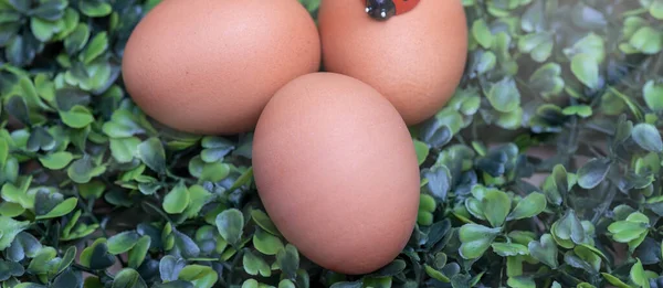 Склад Великодніх Яєць Вид Крупним Планом — стокове фото