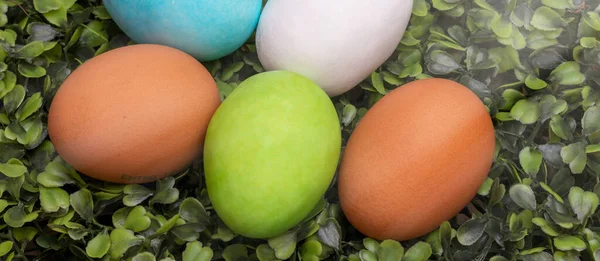 Easter Eggs Composition Close View — Stock Photo, Image