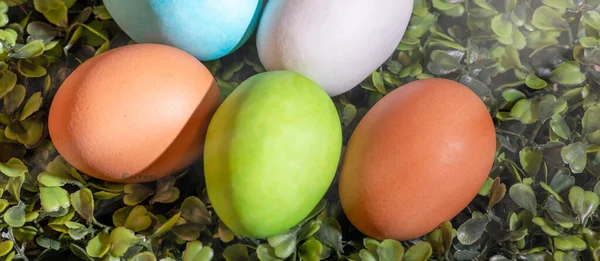 Easter Eggs Composition Close View — Stock Photo, Image