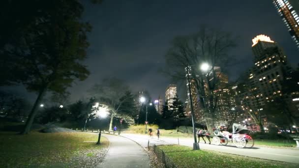 Transporte Caballo Central Park Cámara Lenta Por Noche Con Rascacielos — Vídeos de Stock