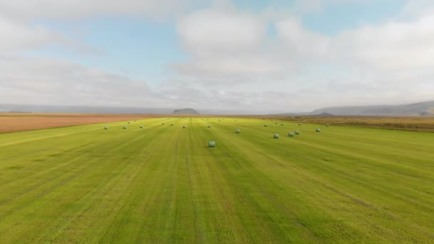 Vista Aérea Aérea Fardos Heno Prado Islandia Temporada Verano — Vídeos de Stock