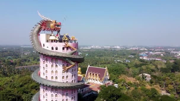 Vista Aérea Del Templo Del Dragón Wat Samphran Distrito Sam — Vídeos de Stock