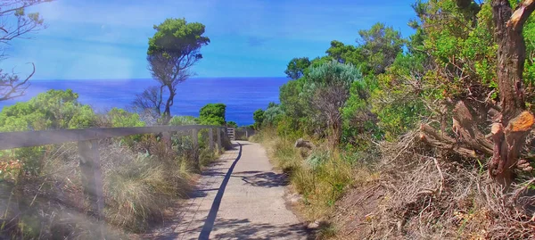 Loch Ard Gorge Stig Till Island Arch Lookout Great Ocean — Stockfoto