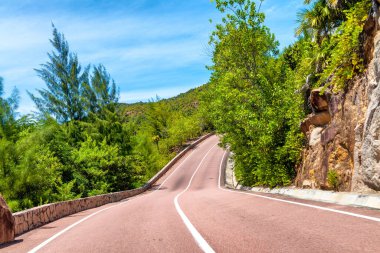 Praslin kıyı şeridi boyunca güzel bir yol, Seyşeller.