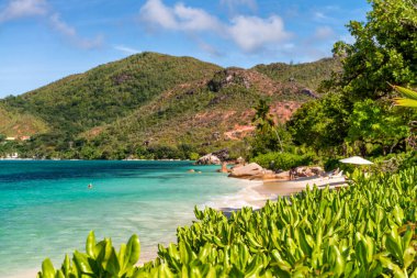 Praslin 'in güzel plajı, Seyşeller.