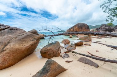 Praslin Adası 'nın güzel plajı, Seyşeller - Afrika.