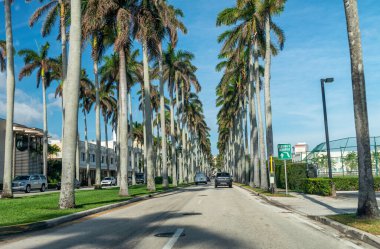 Palm Beach Adası, Florida 'daki Royal Palm Yolu. Güzel bir bahar güneşli bir günde sokak manzarası.