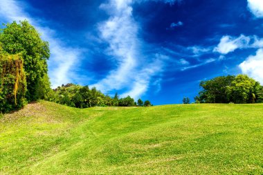 Mavi gökyüzüne karşı çayırları ve ağaçları olan güzel golf sahası.
