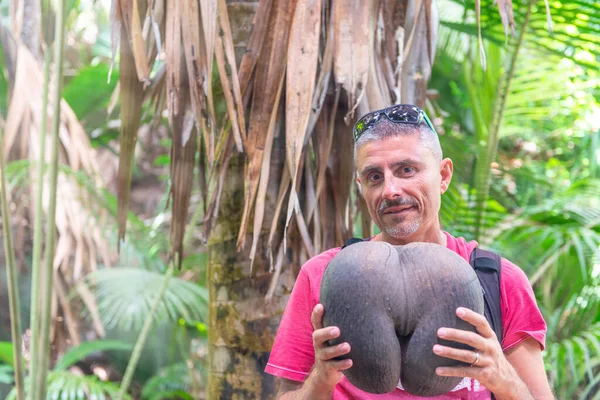 具有海绵状特有物种的雄性椰子 名为椰子 — 图库照片