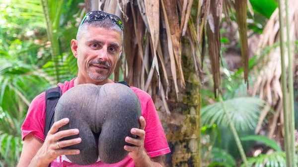 자생하는 코코넛을 코무데머라는 이름의 코코넛 — 스톡 사진