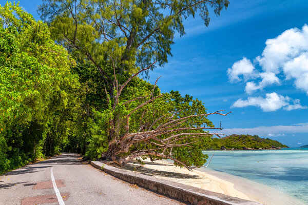 Road along Praslin coastline, Seychelles.