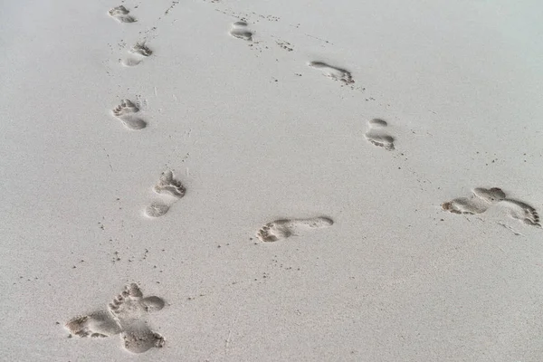 Fußabdrücke Sand Urlaubskonzept — Stockfoto