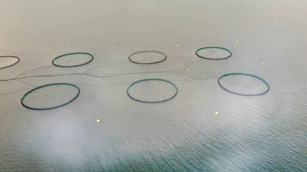 Meeresfischzucht Rundnetzen Mit Schwimmenden Käfigen Island Luftaufnahme Der Aquakultur Lachszuchtanlage — Stockfoto