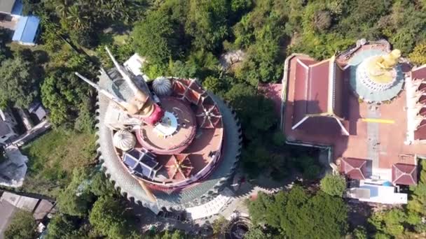 Sam Phran Bölgesindeki Wat Samphran Ejder Tapınağı Nın Havadan Görünüşü — Stok video
