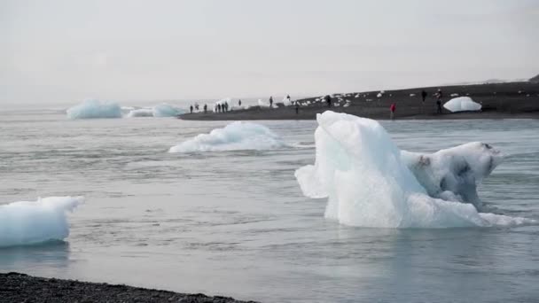 Imagens Aéreas Cênicas Pequenos Icebergs Praia Groenlândia Dia Ensolarado — Vídeo de Stock
