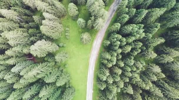 夏天空中俯瞰高山松林，空中无人侦察机俯瞰森林全景 — 图库视频影像