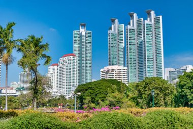 Bangkok 'taki Benjakitti Parkı güneşli bir günde. Ağaçlar ve gökdelenler. Asya iş kavramı.