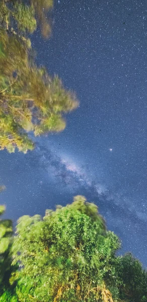 Träd Ett Fält Med Stjärnor Och Mjölkaktigt Sätt Astronomisk Bild — Stockfoto