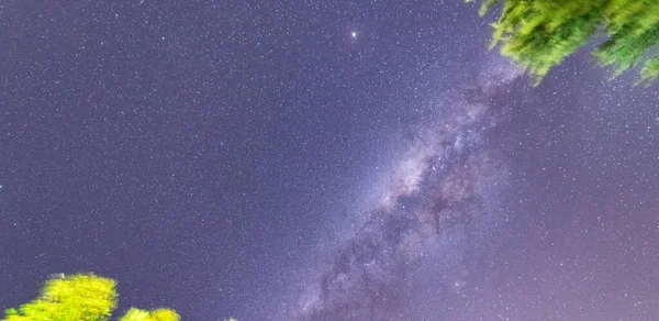 繁星点点的天空 银河和美丽的树木高高地伸展在天空中 天文夜景 — 图库照片
