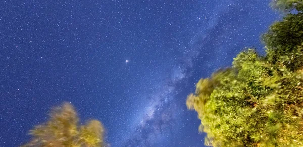 Dağ Manzarası Yıldızlarla Dolu Bir Gece Gökyüzü Görüntüsüne Karşı Çam — Stok fotoğraf
