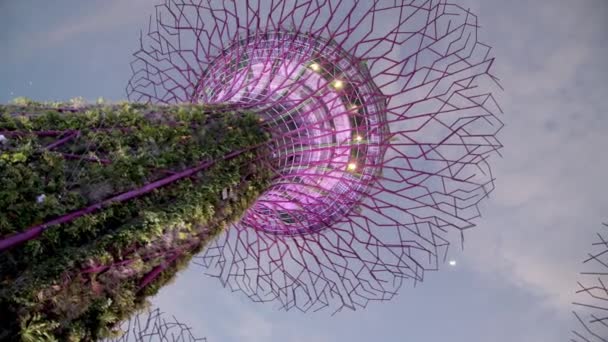 シンガポール- 2020年1月4日:マリーナベイエリアの日没時にスーパーツリーを持つ湾の庭 — ストック動画