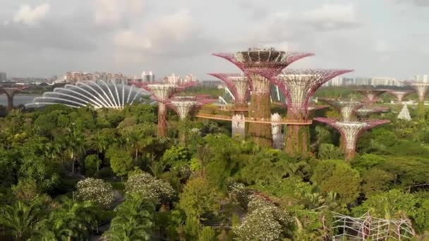 Singapur ze vzduchu. Zahrady u zálivu parku v oblasti Marina Bay za krásného slunečného odpoledne — Stock video