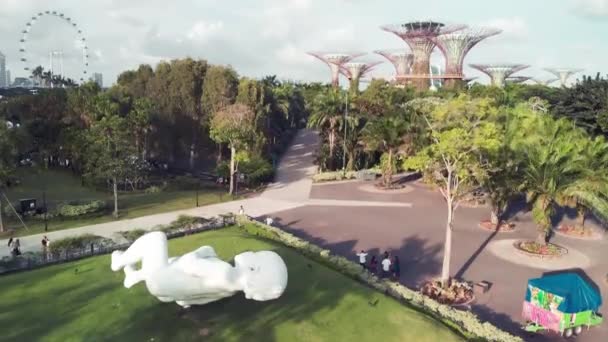 SINGAPUR - 2 DE ENERO DE 2020: Paisaje aéreo de la ciudad de Gardens by the Bay con estatua de bebé flotante — Vídeos de Stock