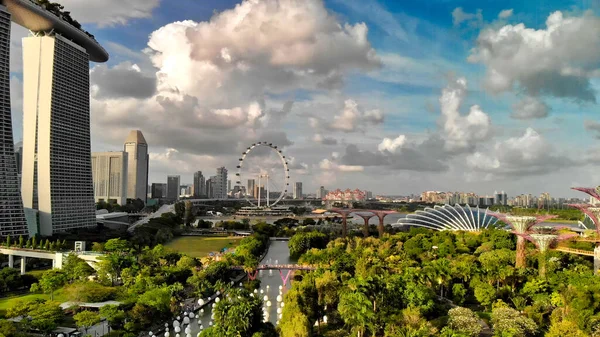 Singapore January 2020 Singapore Air Сади Біля Парку — стокове фото