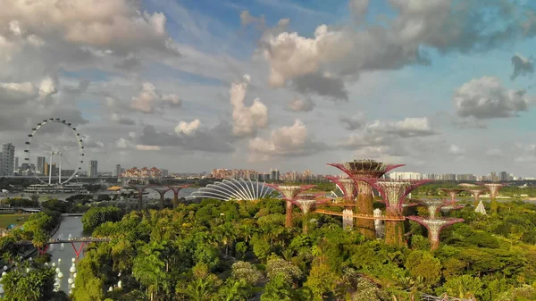 Singapur Enero 2020 Singapur Desde Aire Jardines Junto Parque Bahía — Foto de Stock