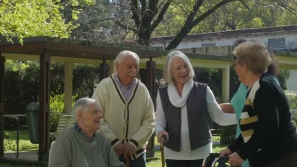 Dois casais idosos conversando no jardim do hospital com a jovem enfermeira — Vídeo de Stock