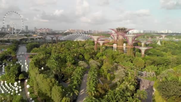 Singapur desde el aire. Jardines junto al parque de la bahía en el área de Marina Bay en una hermosa tarde soleada — Vídeo de stock