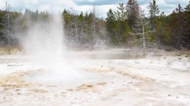 Yellowstone Ulusal Parkı 'ndaki Mamut Kaplıcaları, WY-ABD