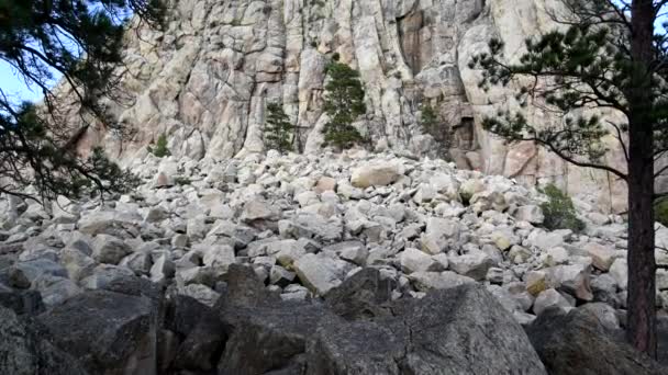 Vertikaler Rundblick auf das Devils Tower National Monument — Stockvideo