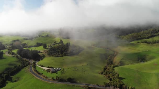 Panoramic aerial view of Waitomo countryside on a beautiful winter morning — Stock Video