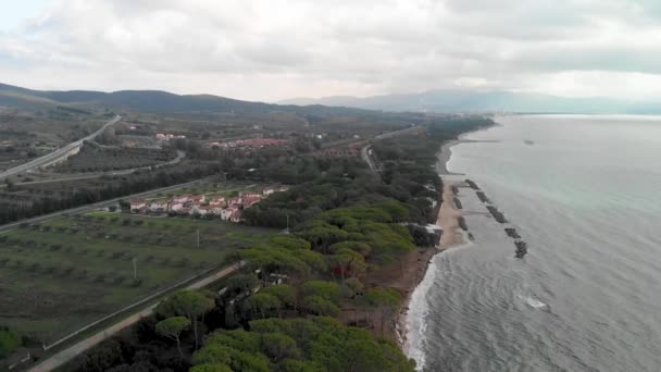 Pinhal e oceano, vista aérea — Vídeo de Stock
